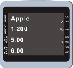Label Printing Scale